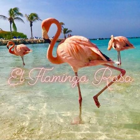 Casa Vacanze El Flamingo Rosa Cod Iun P5386 Iglesias Dış mekan fotoğraf