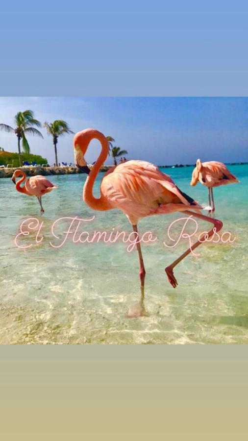 Casa Vacanze El Flamingo Rosa Cod Iun P5386 Iglesias Dış mekan fotoğraf